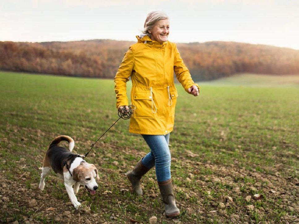 Having a pet dog could lead to better heart health, research suggests