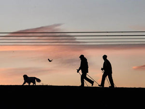 8 in 10 dog walkers take pet for a walk just to get peace and quiet, poll claims