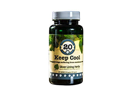 Silver Lining Keep Cool Caps - 90 Count