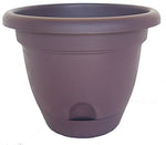 Bloem Lucca Planter 8 in. Exotica