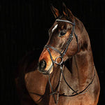 Horze Weston Flash Bridle w/ Reins