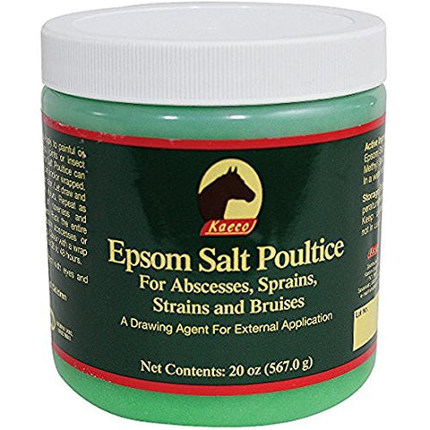 EPSOM SALT POULTICE REG 20OZ