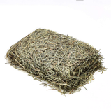 Kaytee Orchard Grass